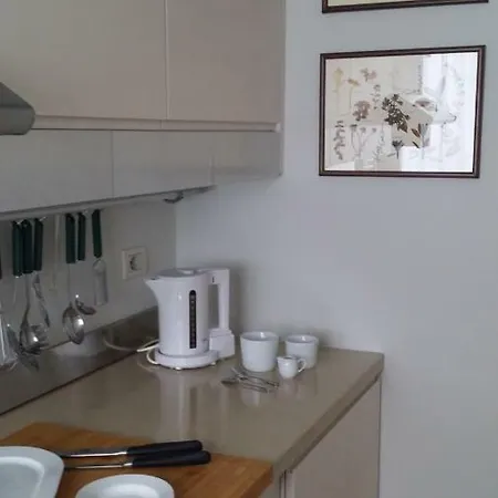 Nice Flat In Corso Buenos Aires Lejlighed